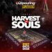 Harvest of Souls – Dunsin Oyekan