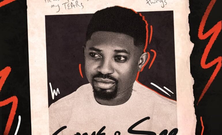 Download Come and See by Terry Praiz
