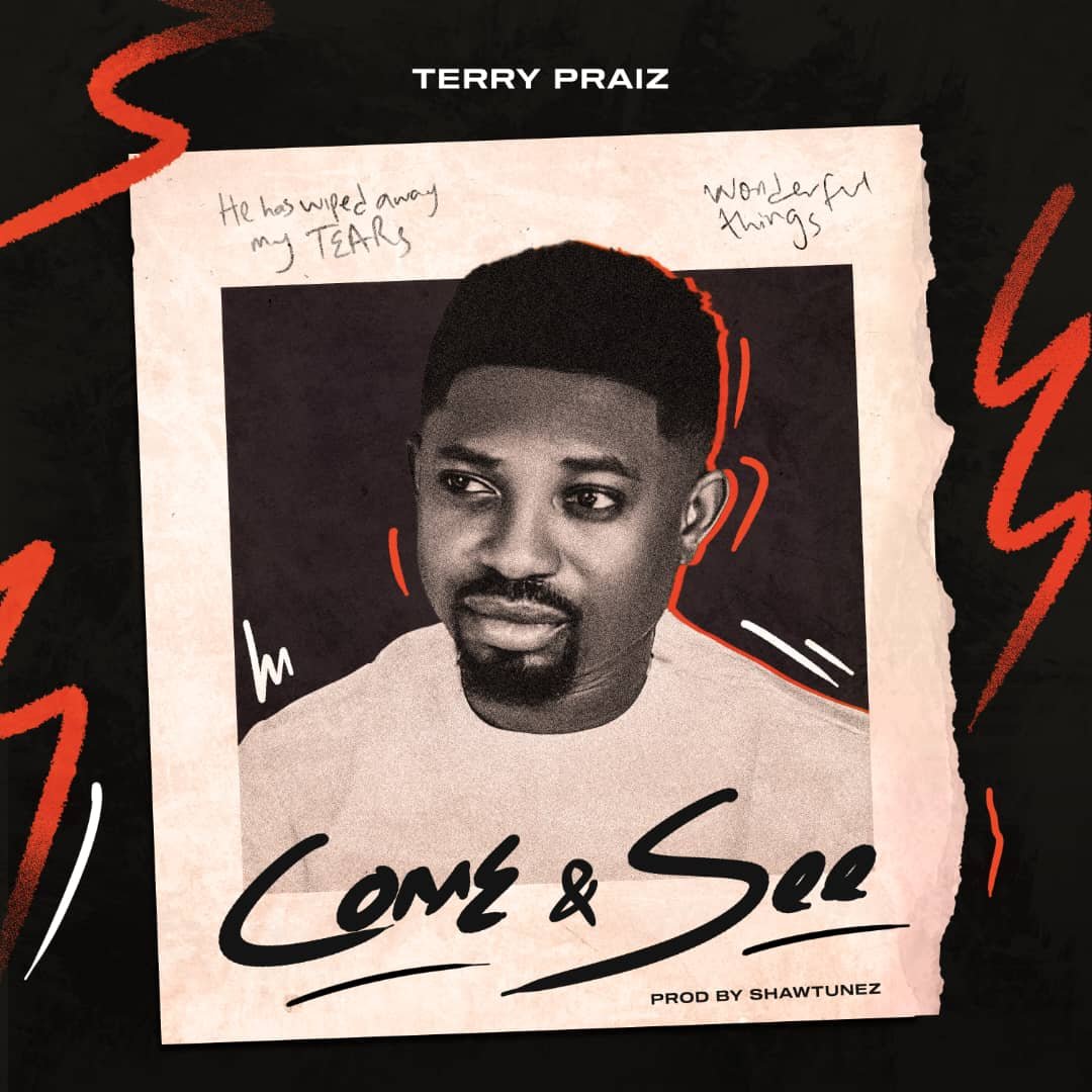 Download Come and See by Terry Praiz