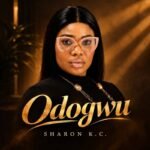 David Ezekiel Shares Testimony of Hope in “Nothing You Cannot Do”
